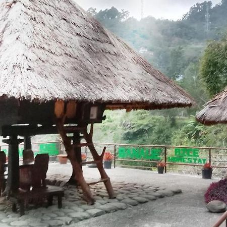 Rice Homestay Banaue Eksteriør billede